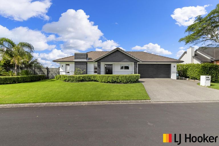 Photo of property in 107 Butcher Road, Pukekohe, 2120