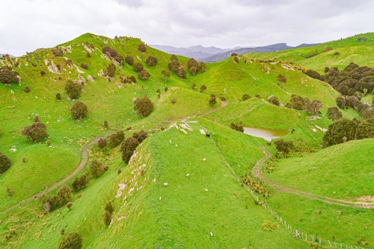 Photo of property in Castlepoint Road, Mangapakeha, Masterton, 5889