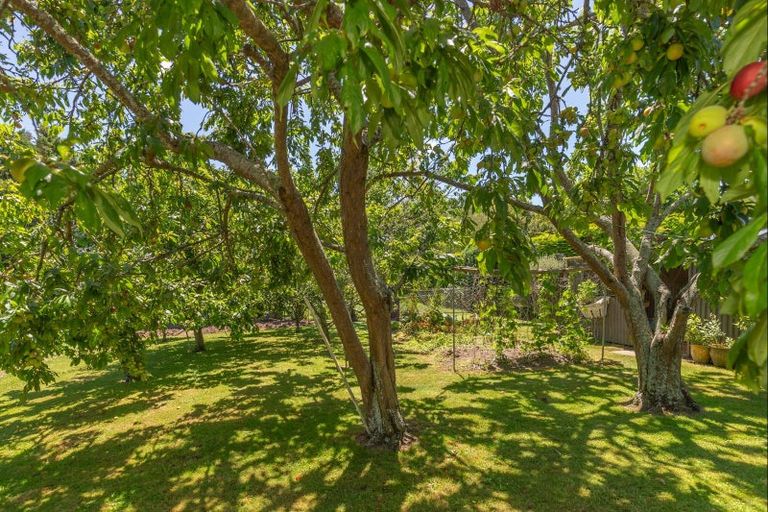 Photo of property in 50 Painua Road, Hokio Beach, Levin, 5571