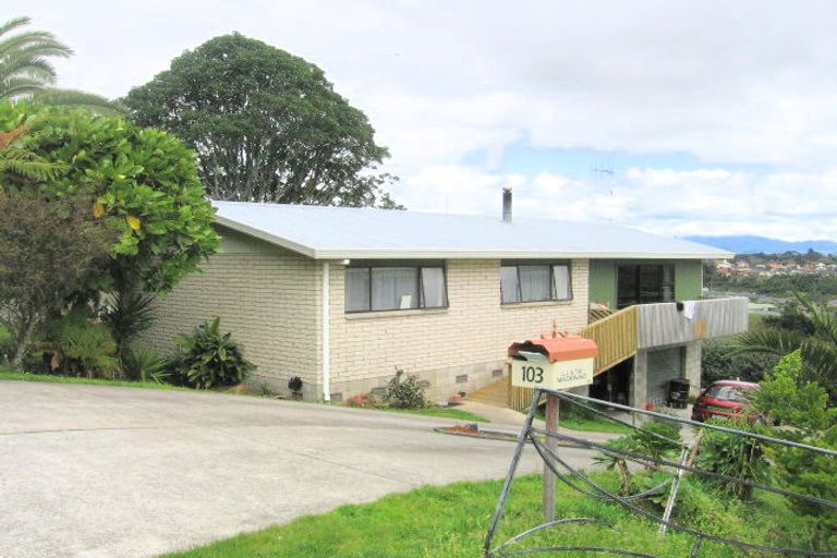 Photo of property in 103 Cambridge Road, Bethlehem, Tauranga, 3110