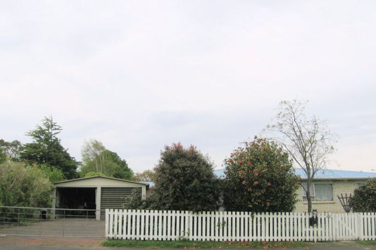 Photo of property in 20 Sain Crescent, Morrinsville, 3300