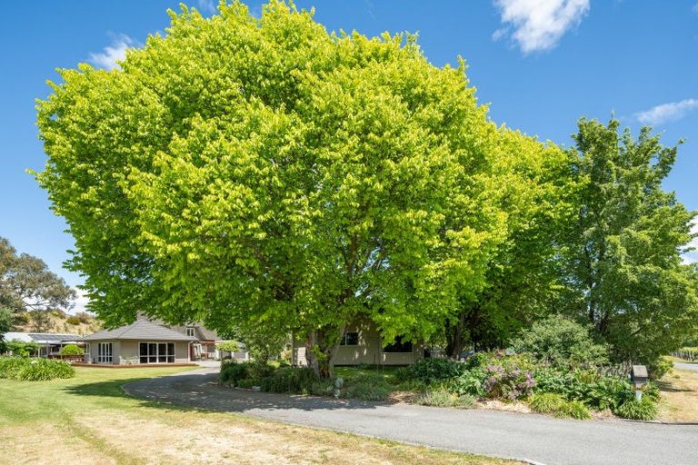 Photo of property in 19 Terrace Road, Renwick, 7204