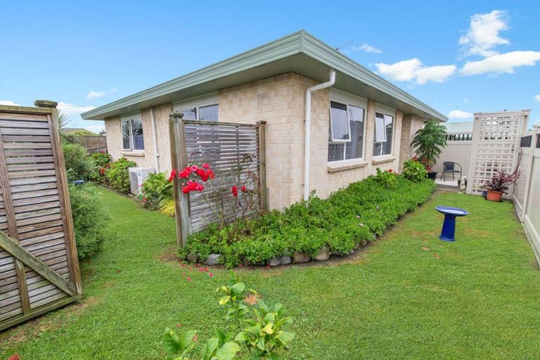 Photo of property in 61 Winchester Street, Levin, 5510