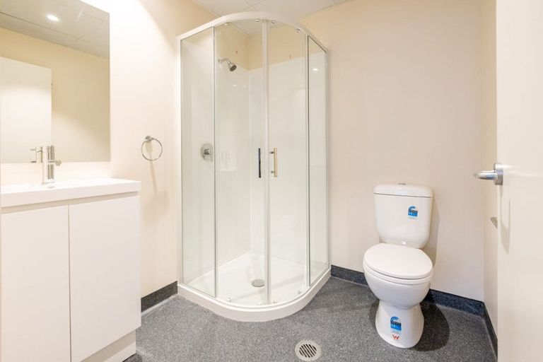 Photo of property in Te Kainga Te Aka, 203 Willis Street, Te Aro, Wellington, 6011