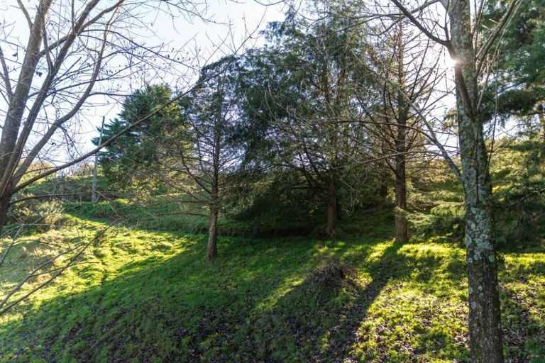 Photo of property in 116 Princes Street, Waikino, Waihi, 3682