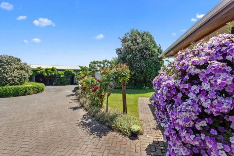 Photo of property in 26 East Bank Road, Thornton, Whakatane, 3193