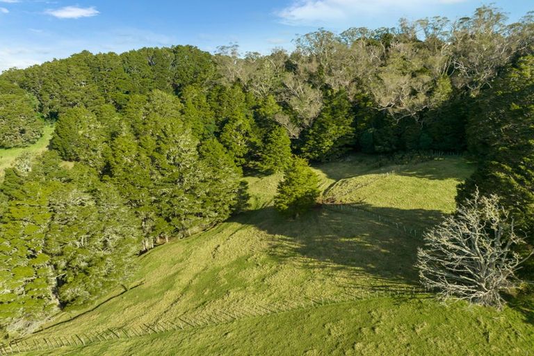 Photo of property in 34 Dalkeith Drive, Kauri, 0185