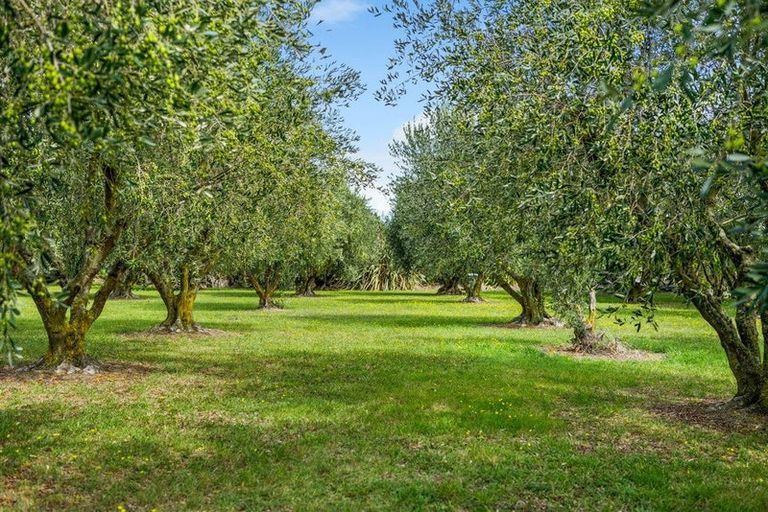 Photo of property in 447 Wairau Bar Road, Spring Creek, Blenheim, 7273