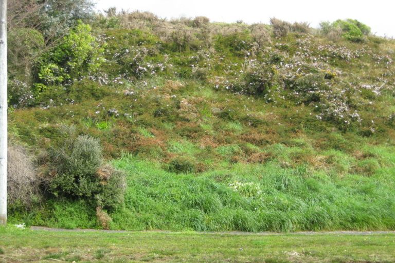 Photo of property in 12 Whakawhiti Street, Marfell, New Plymouth, 4310