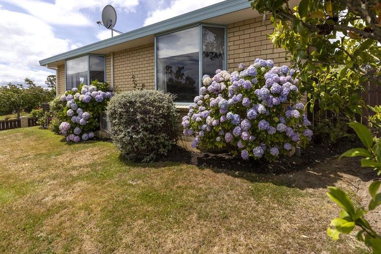 Photo of property in 27 Tereice Street, Witherlea, Blenheim, 7201