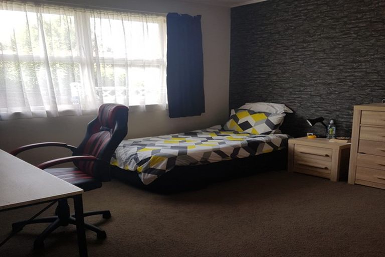 Photo of property in 25 Beech Crescent, Hillcrest, Hamilton, 3216