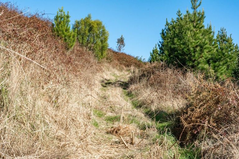 Photo of property in 317 State Highway 5, Wairakei, Taupo, 3384