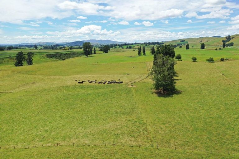 Photo of property in 912 Ngahape Road, Maihiihi, Te Awamutu, 3873