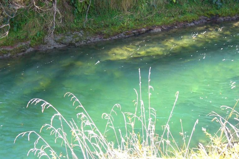 Photo of property in 46 Ruapapa Road, Frasertown, Wairoa, 4195