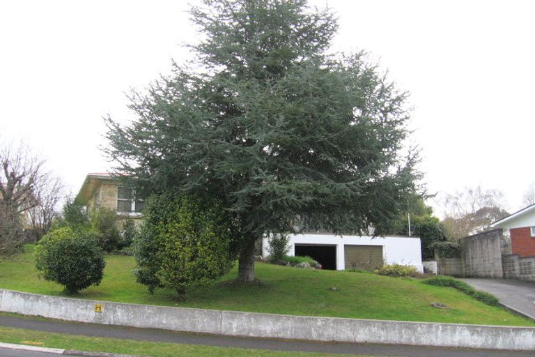 Photo of property in 14 Seifert Street, Forest Lake, Hamilton, 3200