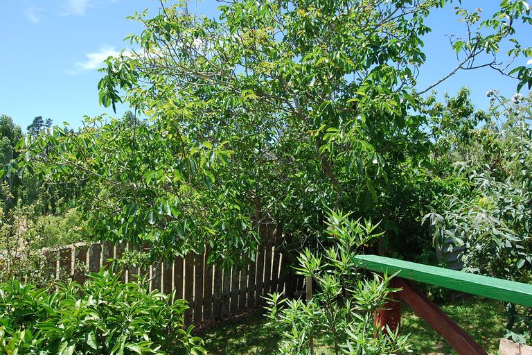 Photo of property in 14 Puawai Street, Kaiwaka, 0573