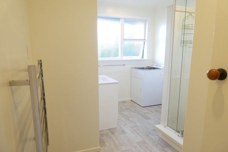 Photo of property in 133 Britomart Street, Berhampore, Wellington, 6023