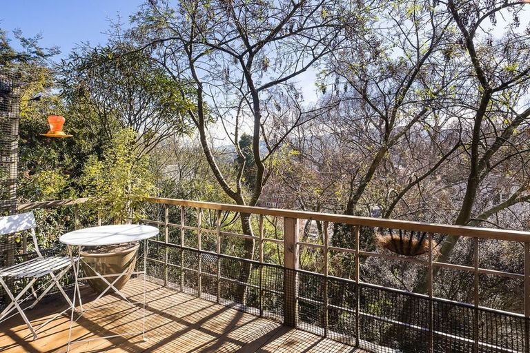 Photo of property in 13 Hatfield Street, Opoho, Dunedin, 9010