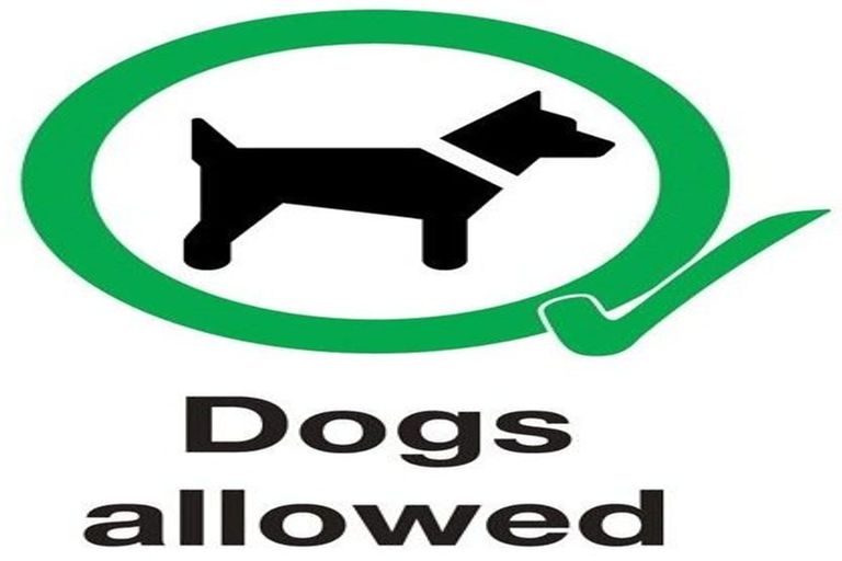 Photo of property in 13 Cranberry Place, Bucklands Beach, Auckland, 2012