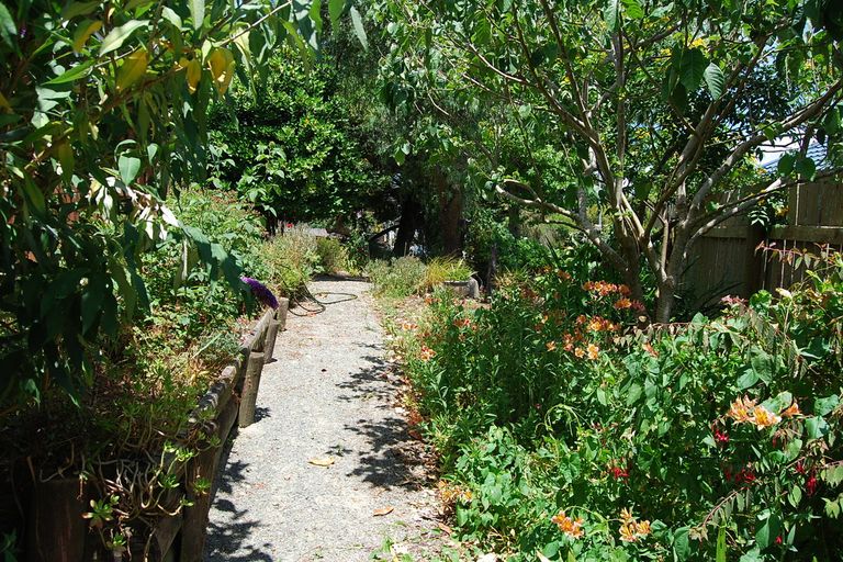 Photo of property in 14 Puawai Street, Kaiwaka, 0573