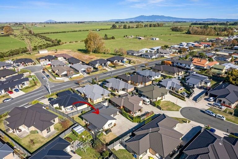 Photo of property in 9 Peter Way Place, Glenview, Hamilton, 3206