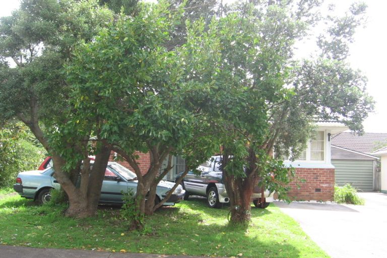 Photo of property in 11-13 Larsen Road, Panmure, Auckland, 1072