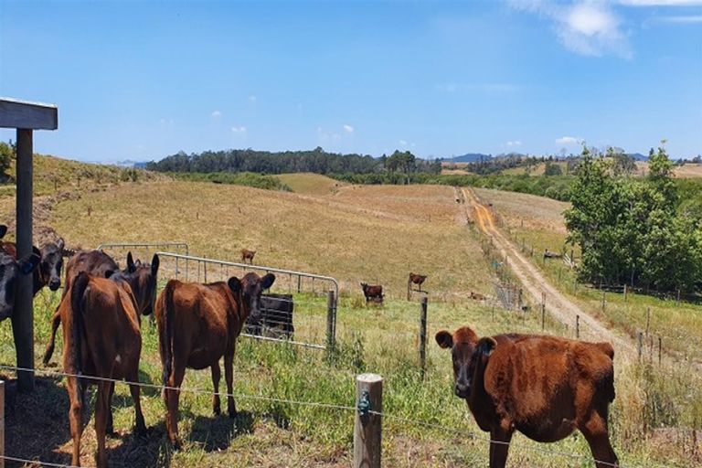 Photo of property in 218 Island Block Road, Island Block, Te Kauwhata, 3782