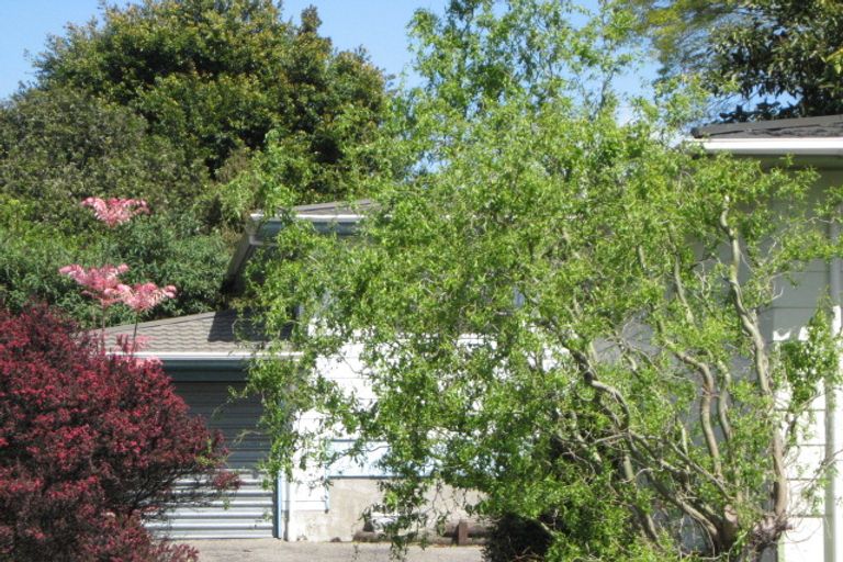 Photo of property in 1/1 Scotia Street, Wakatu, Nelson, 7011