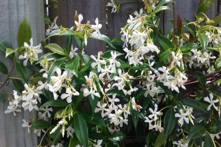 Photo of property in 14 North Crest Drive, Onerahi, Whangarei, 0110