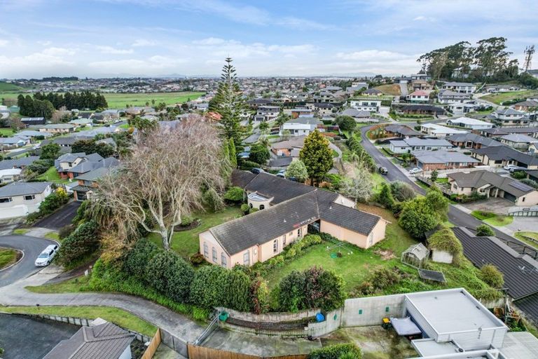 Photo of property in 17 Palm Grove Drive, Western Heights, Hamilton, 3200