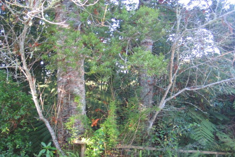 Photo of property in 11 Tawini Road, Titirangi, Auckland, 0604