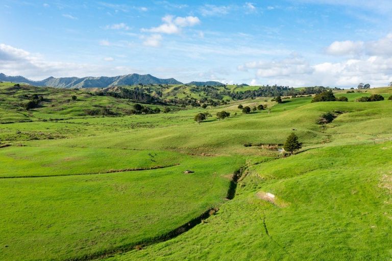 Photo of property in 184 Tangowahine Valley Road, Tangowahine, 0372