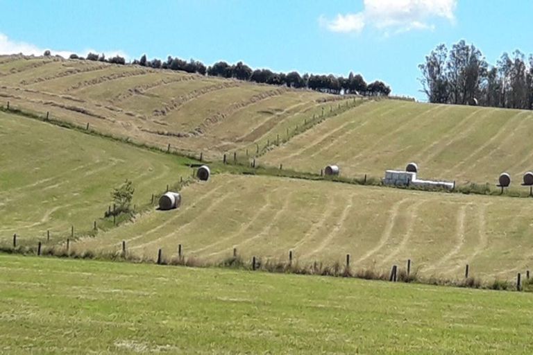 Photo of property in 105 Willis Road, Ngahinapouri, Hamilton, 3290