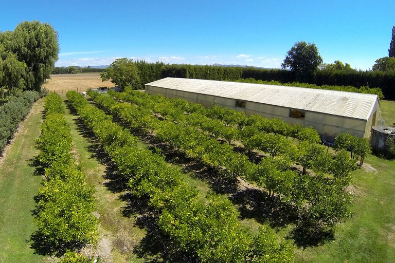 Photo of property in 139 Bushmere Road, Makaraka, Gisborne, 4071