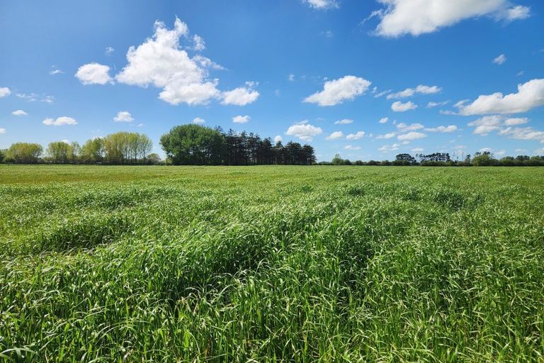 Photo of property in 431 Horotiu Road, Te Kowhai, Hamilton, 3288
