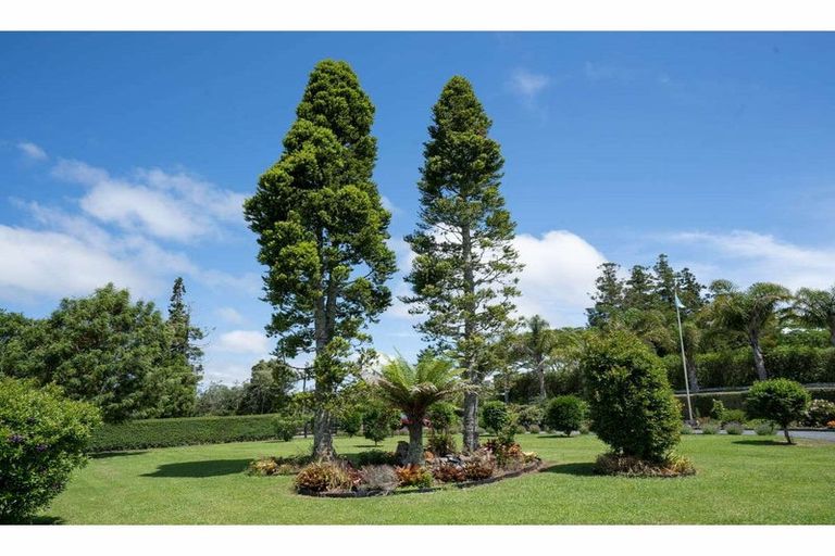 Photo of property in 38 Riddell Road, Kerikeri, 0230