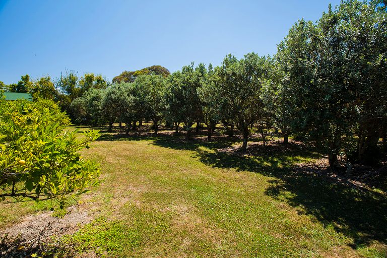 Photo of property in 139 Bushmere Road, Makaraka, Gisborne, 4071