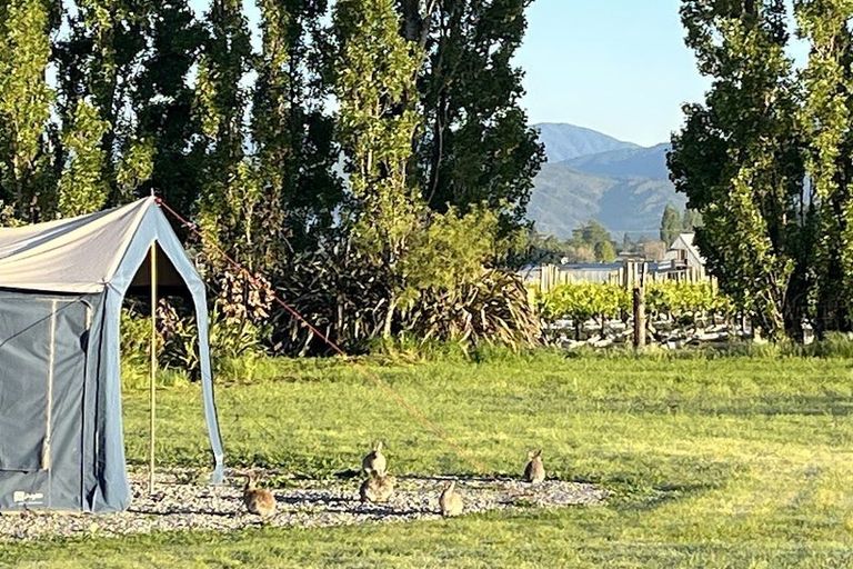 Photo of property in 106b New Renwick Road, Burleigh, Blenheim, 7201