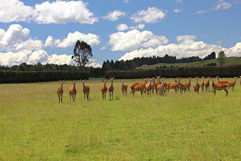Photo of property in 24 Mount York Road, Te Anau, 9679