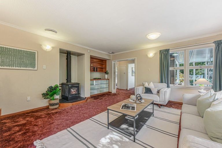 Photo of property in 3 Oldham Lane, The Wood, Nelson, 7010