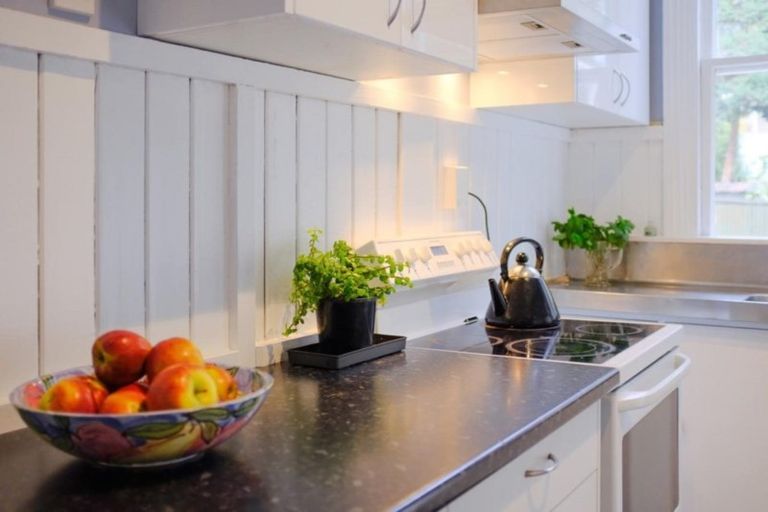 Photo of property in 3a Scone Avenue, North East Valley, Dunedin, 9010