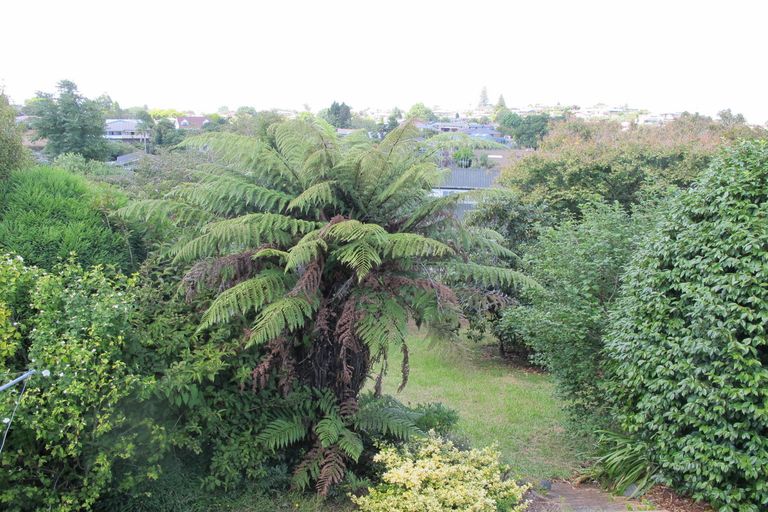 Photo of property in 471 Wallace Terrace, Te Awamutu, 3800