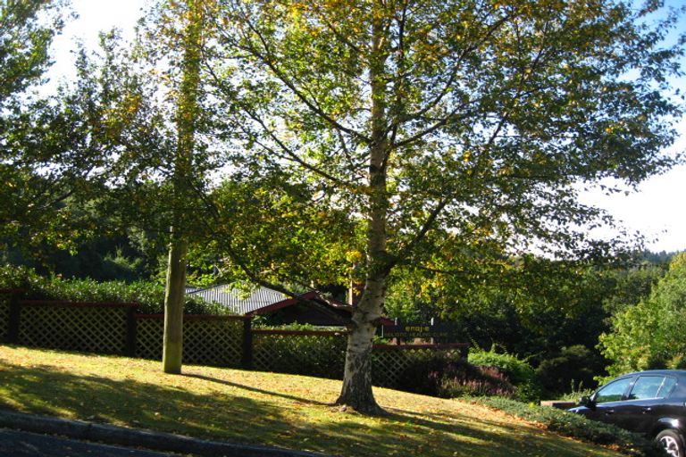 Photo of property in 48 Kelvin Road, North East Valley, Dunedin, 9010