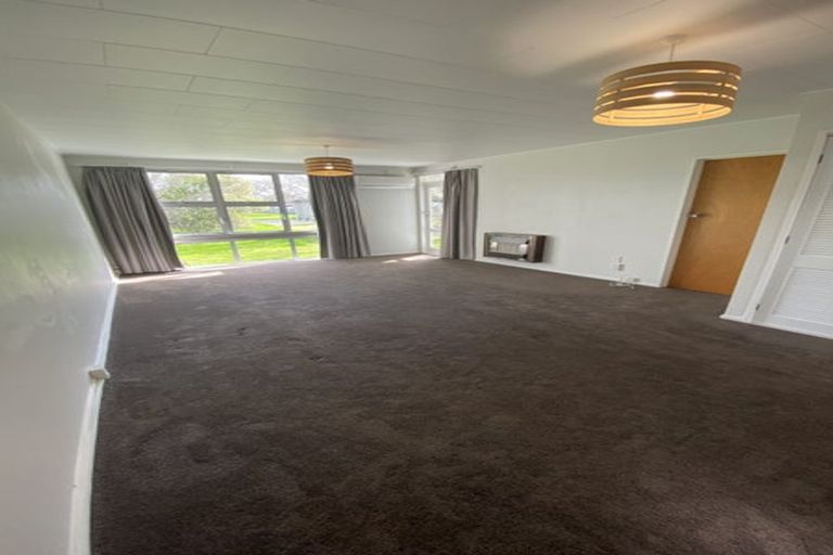 Photo of property in 160a Ruahine Street, Roslyn, Palmerston North, 4414