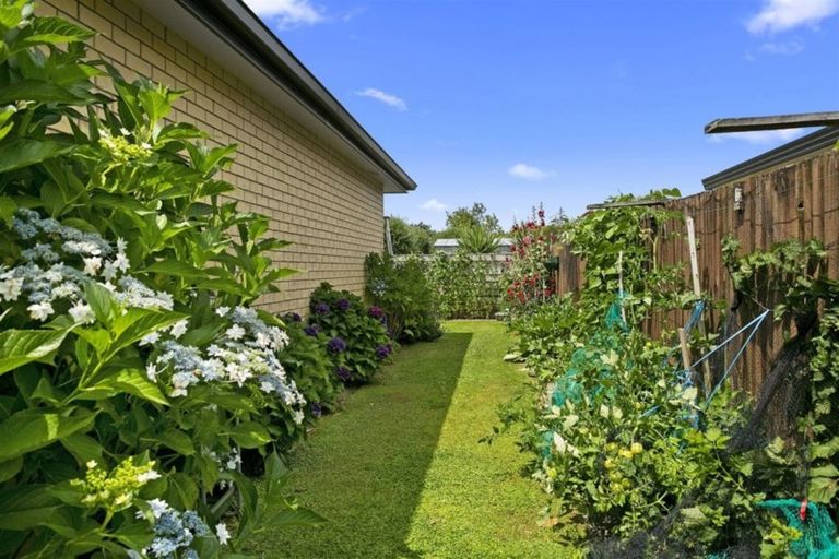 Photo of property in 1b Wrigley Place, Matamata, 3400