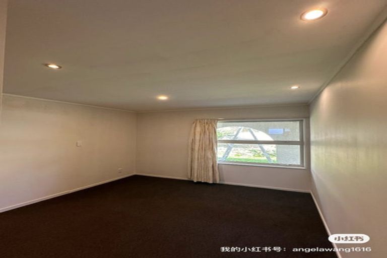 Photo of property in 62 Storey Avenue, Forest Lake, Hamilton, 3200