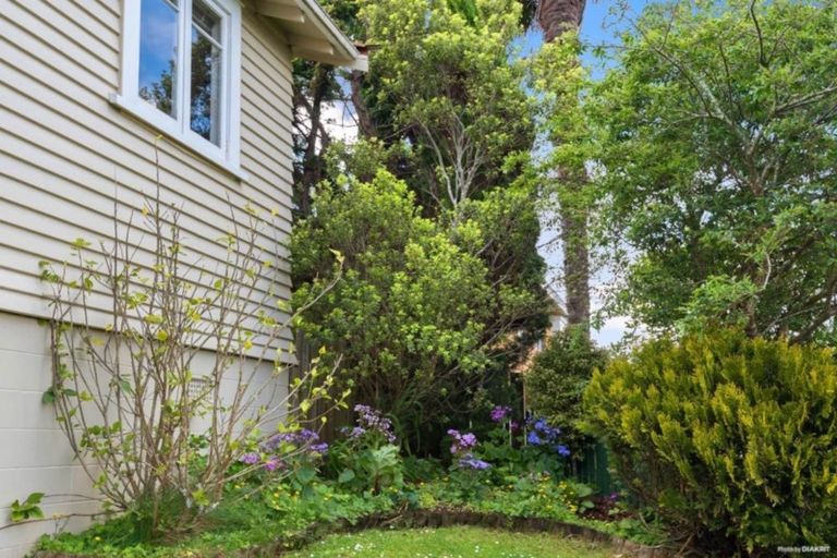 Photo of property in 41 Norcross Avenue, Henderson, Auckland, 0612