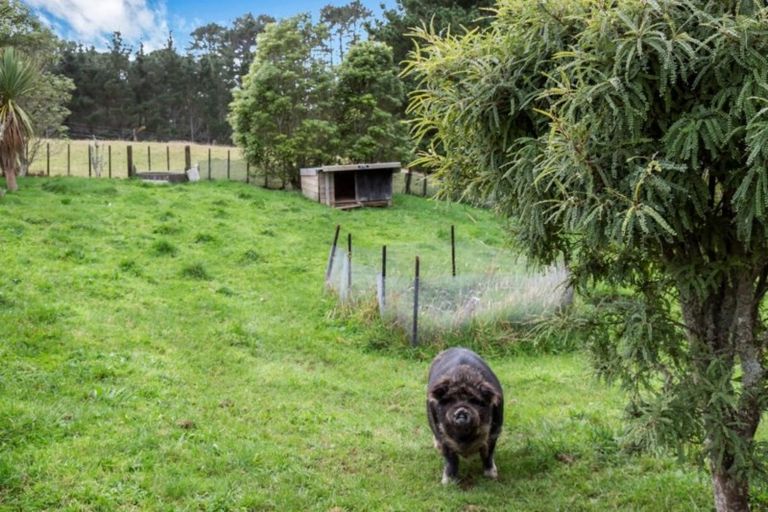 Photo of property in 1347 Carrington Road, Hurworth, New Plymouth, 4371