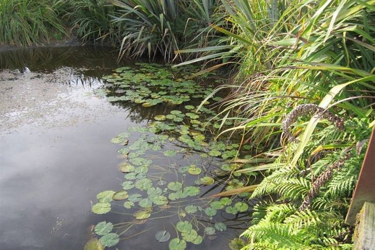 Photo of property in 61 Main Road, Harihari, 7884