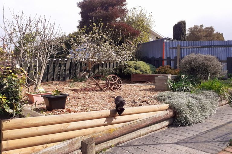 Photo of property in 8 Benmore Street, Glenwood, Timaru, 7910